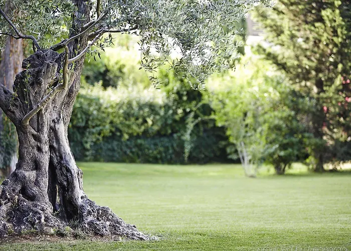 ノボテル シティ ウエスト 4*